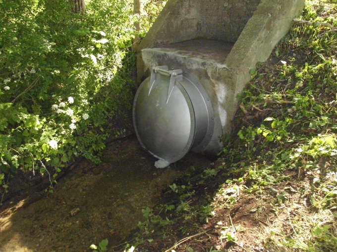 Rückstauklappe3